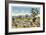 Joshua Trees in Desert, California-null-Framed Art Print