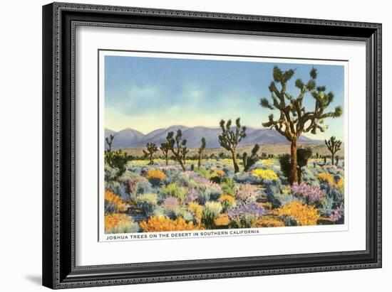 Joshua Trees in Desert, California-null-Framed Art Print