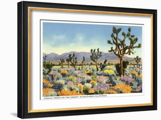 Joshua Trees in Desert, California--Framed Art Print