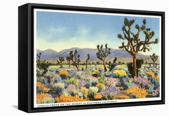 Joshua Trees in Desert, California-null-Framed Stretched Canvas