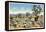 Joshua Trees in Desert, California-null-Framed Stretched Canvas