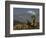 Joshua Trees in Winter, Joshua Tree National Park, California, USA-Michel Hersen-Framed Photographic Print