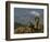 Joshua Trees in Winter, Joshua Tree National Park, California, USA-Michel Hersen-Framed Photographic Print