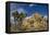 Joshua Trees, Queen Valley, Joshua Tree National Park, California, USA-Charles Gurche-Framed Premier Image Canvas