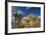 Joshua Trees, Queen Valley, Joshua Tree National Park, California, USA-Charles Gurche-Framed Photographic Print