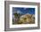 Joshua Trees, Queen Valley, Joshua Tree National Park, California, USA-Charles Gurche-Framed Photographic Print