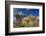 Joshua Trees, Queen Valley, Joshua Tree National Park, California, USA-Charles Gurche-Framed Photographic Print