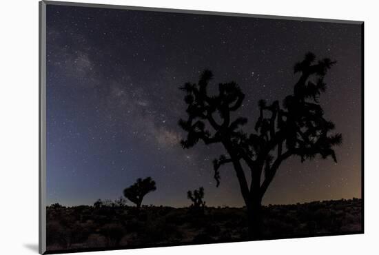 Joshua Trees Silhouetted by Starry Skies in Joshua Tree NP, California-Chuck Haney-Mounted Photographic Print