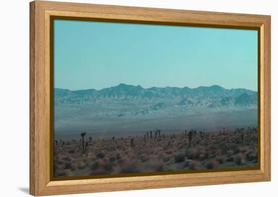 Joshua Trees-NaxArt-Framed Stretched Canvas