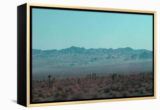 Joshua Trees-NaxArt-Framed Stretched Canvas