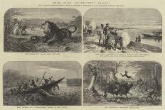 Notes of Dr Livingstone's Travels-Josiah Wood Whymper-Giclee Print
