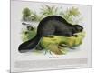 Giclee Print