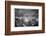 Joslin Dry Goods Store-null-Framed Photographic Print