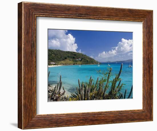 Jost Van Dyke Island, British Virgin Islands, Caribbean, West Indies, Central America-Ken Gillham-Framed Photographic Print