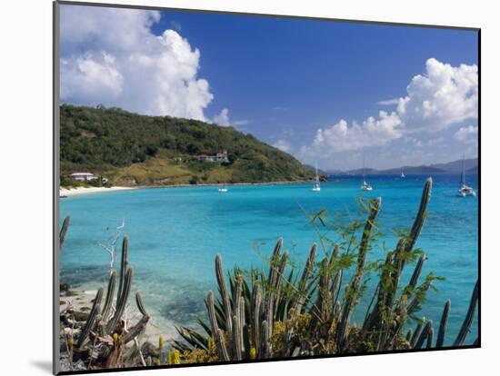 Jost Van Dyke Island, British Virgin Islands, Caribbean, West Indies, Central America-Ken Gillham-Mounted Photographic Print