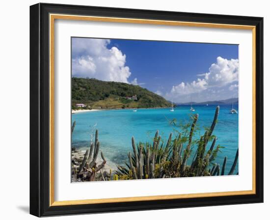 Jost Van Dyke Island, British Virgin Islands, Caribbean, West Indies, Central America-Ken Gillham-Framed Photographic Print