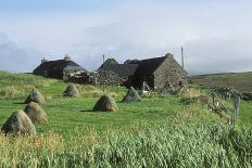 Traditional Farm In The Shetland Isles With Hay Stooks In A Field, Scotland, UK-Jouan Rius-Photographic Print