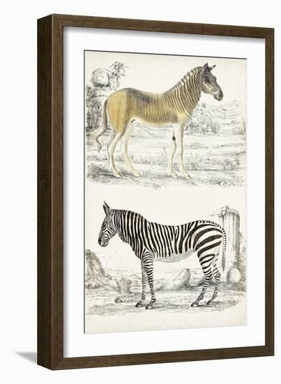 Journal of Natural History I-Georges Cuvier-Framed Art Print