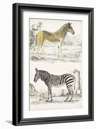 Journal of Natural History I-Georges Cuvier-Framed Art Print