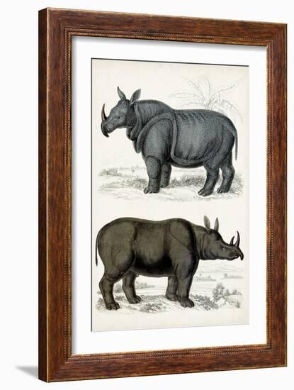 Journal of Natural History IX-Georges Cuvier-Framed Art Print