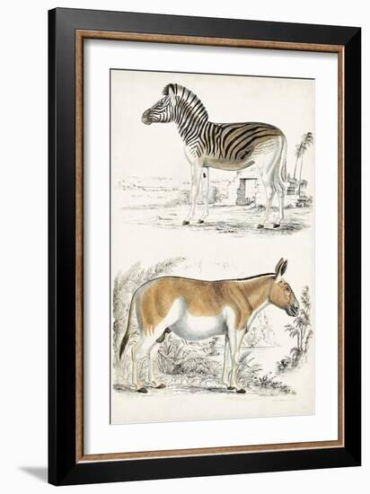 Journal of Natural History V-Georges Cuvier-Framed Art Print