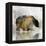 Journey Bear I-Ken Roko-Framed Stretched Canvas