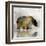 Journey Bear I-Ken Roko-Framed Art Print