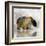 Journey Bear I-Ken Roko-Framed Art Print