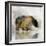 Journey Bear I-Ken Roko-Framed Art Print