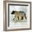 Journey Bear II-Ken Roko-Framed Art Print