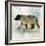 Journey Bear II-Ken Roko-Framed Art Print