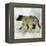 Journey Bear II-Ken Roko-Framed Stretched Canvas