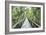 Journey Crossing-John Coletti-Framed Giclee Print