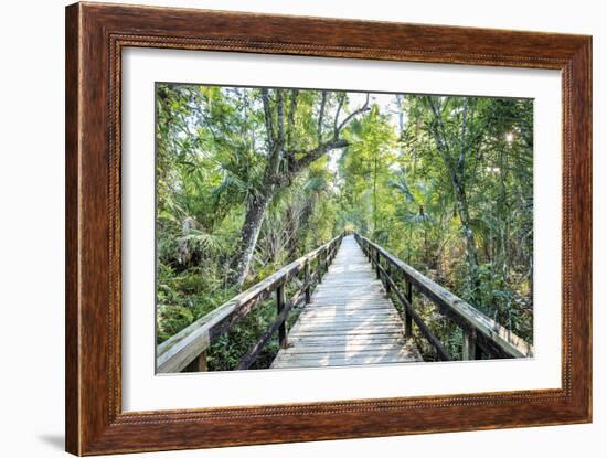 Journey Crossing-John Coletti-Framed Giclee Print