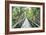 Journey Crossing-John Coletti-Framed Giclee Print