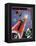 Journey To Mars Russian Constructivist-Vintage Lavoie-Framed Premier Image Canvas