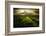 Journey to the Fierce Storm-Sona Buchelova-Framed Photographic Print