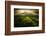 Journey to the Fierce Storm-Sona Buchelova-Framed Photographic Print