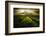 Journey to the Fierce Storm-Sona Buchelova-Framed Photographic Print