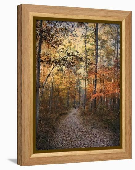 Journey Within-Jai Johnson-Framed Premier Image Canvas