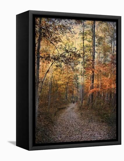 Journey Within-Jai Johnson-Framed Premier Image Canvas