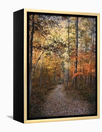 Journey Within-Jai Johnson-Framed Premier Image Canvas