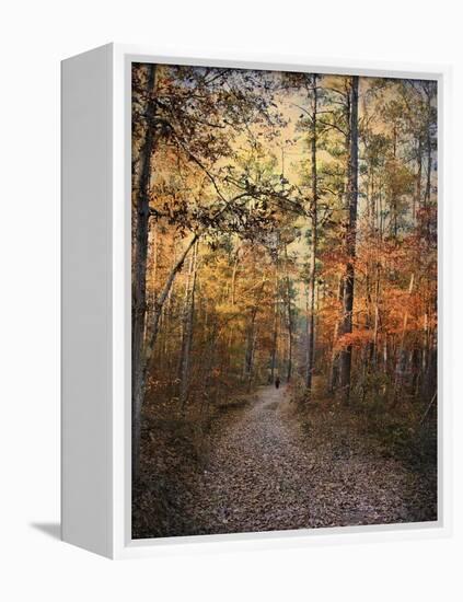 Journey Within-Jai Johnson-Framed Premier Image Canvas