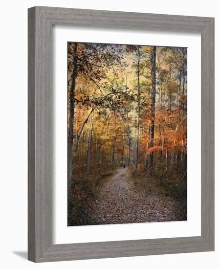 Journey Within-Jai Johnson-Framed Giclee Print