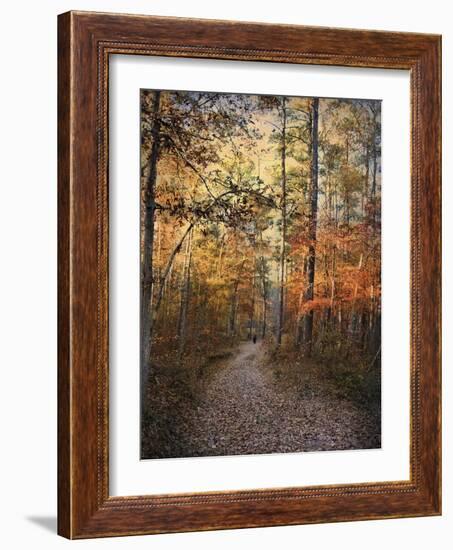 Journey Within-Jai Johnson-Framed Giclee Print