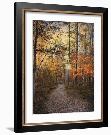 Journey Within-Jai Johnson-Framed Giclee Print