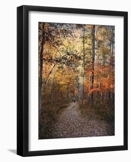 Journey Within-Jai Johnson-Framed Giclee Print