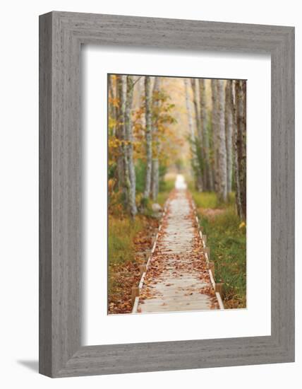 Journey-Michael Hudson-Framed Art Print