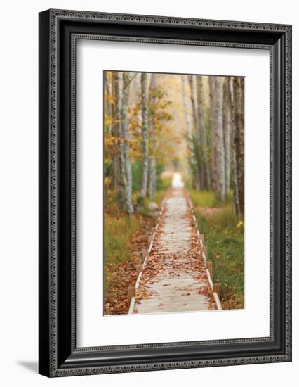 Journey-Michael Hudson-Framed Art Print