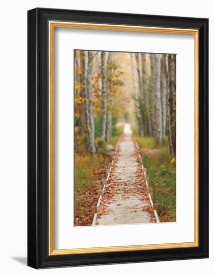 Journey-Michael Hudson-Framed Art Print